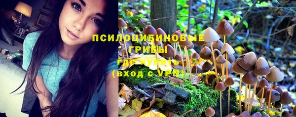 твердый Медвежьегорск