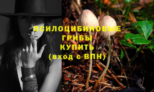 твердый Медвежьегорск