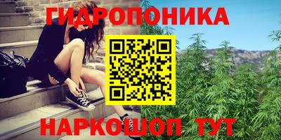 мяу мяу мука Жуковский