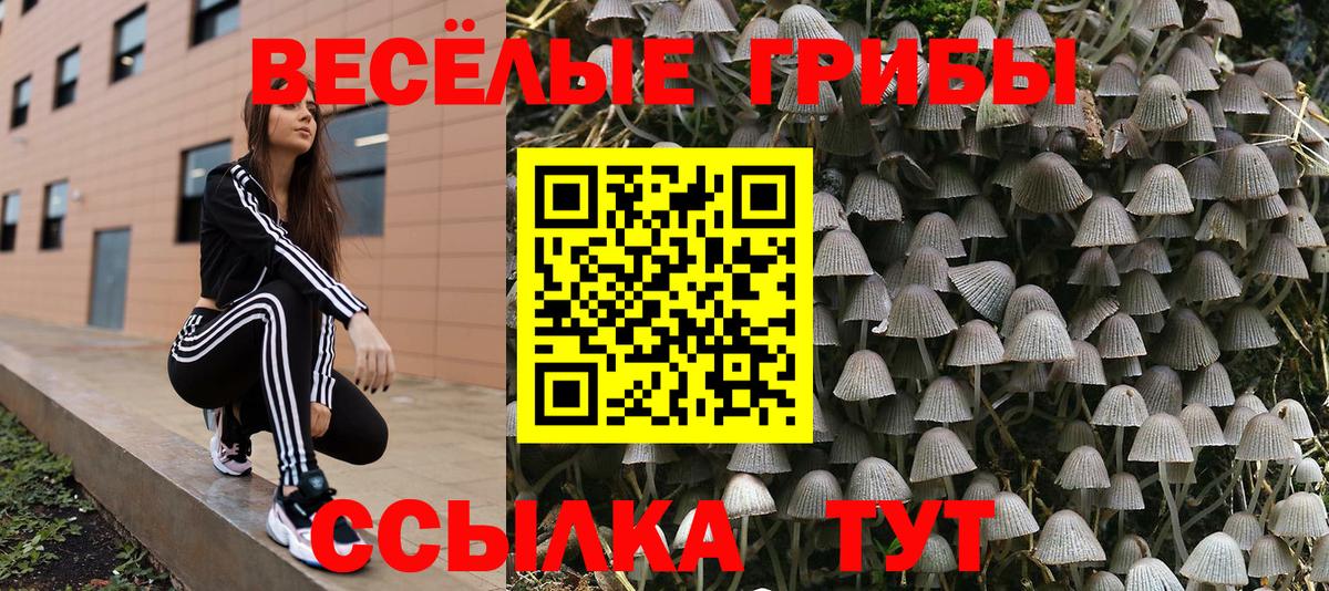 Псилоцибиновые грибы Magic Shrooms  Вход с VPN  Нарьян-Мар 